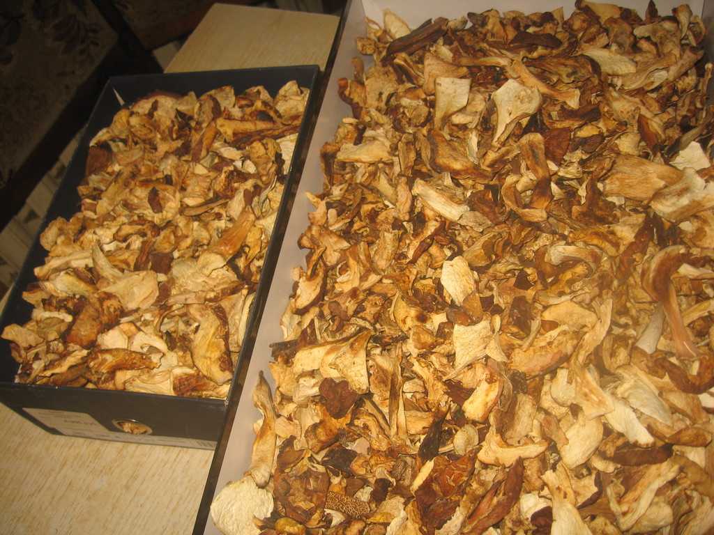 В чем и как хранить сушеные грибы в домашних условиях: срок годности сухих грибов, сколько можно хранить в банках | domovoda.club