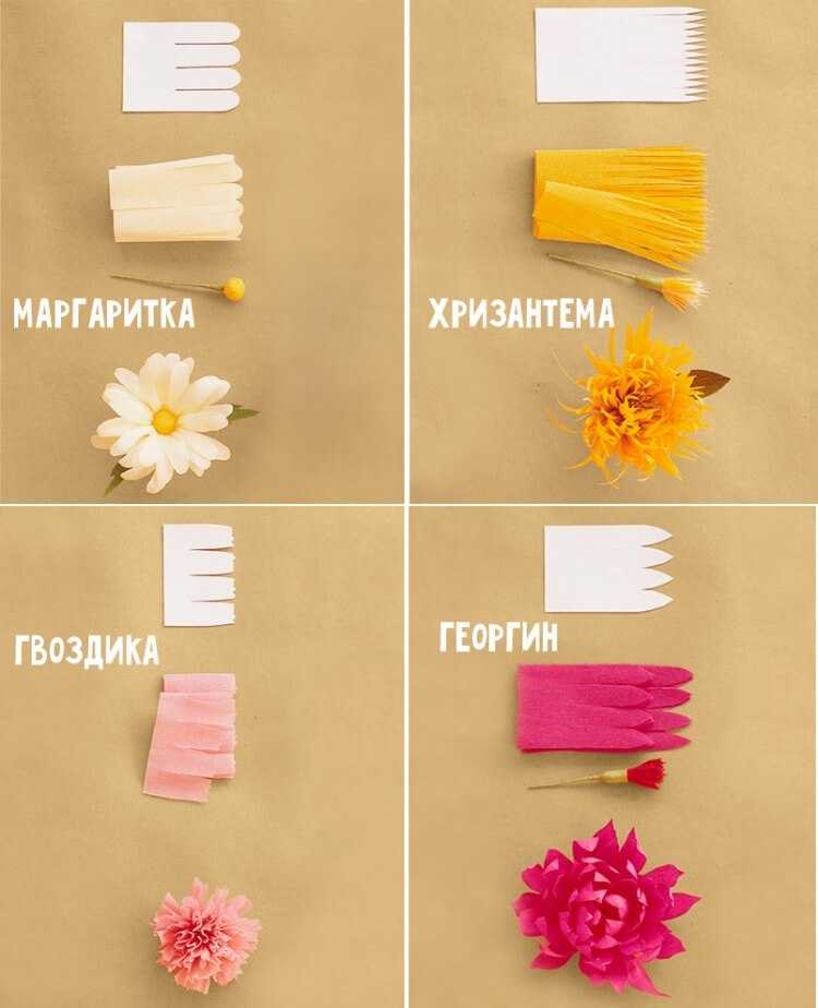 Цветы из бумаги своими руками – 4 мастер-класса для новичков