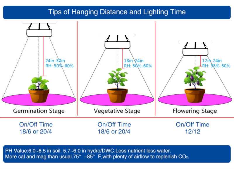 Освние для растений: виды ламп, отличия для разных растений