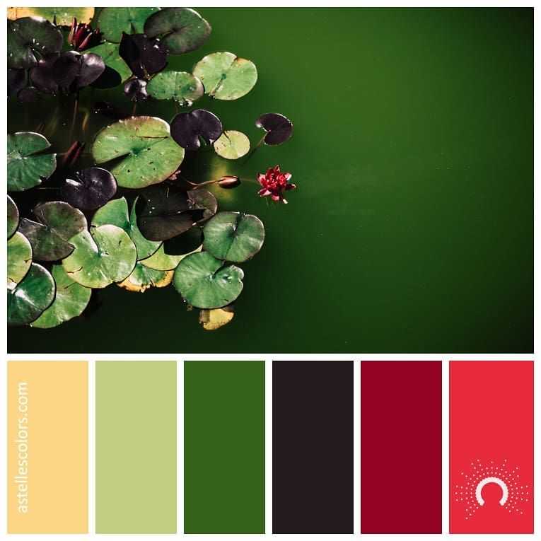 Сочетание зеленого цвета. таблицы, фото | lookcolor