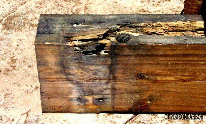 Обработка древесины от гниения в земле - древология - все о древесине, строительстве, ремонте, интерьере