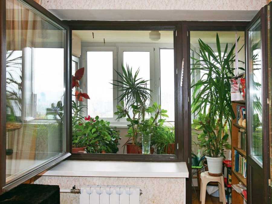 Зимний сад на балконе или лоджии: как устроить своими руками | дневники ремонта obustroeno.club