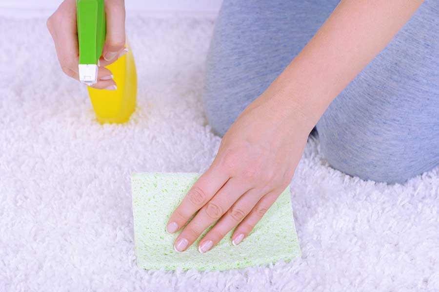 16 способов почистить белый ковер в домашних условиях своими руками