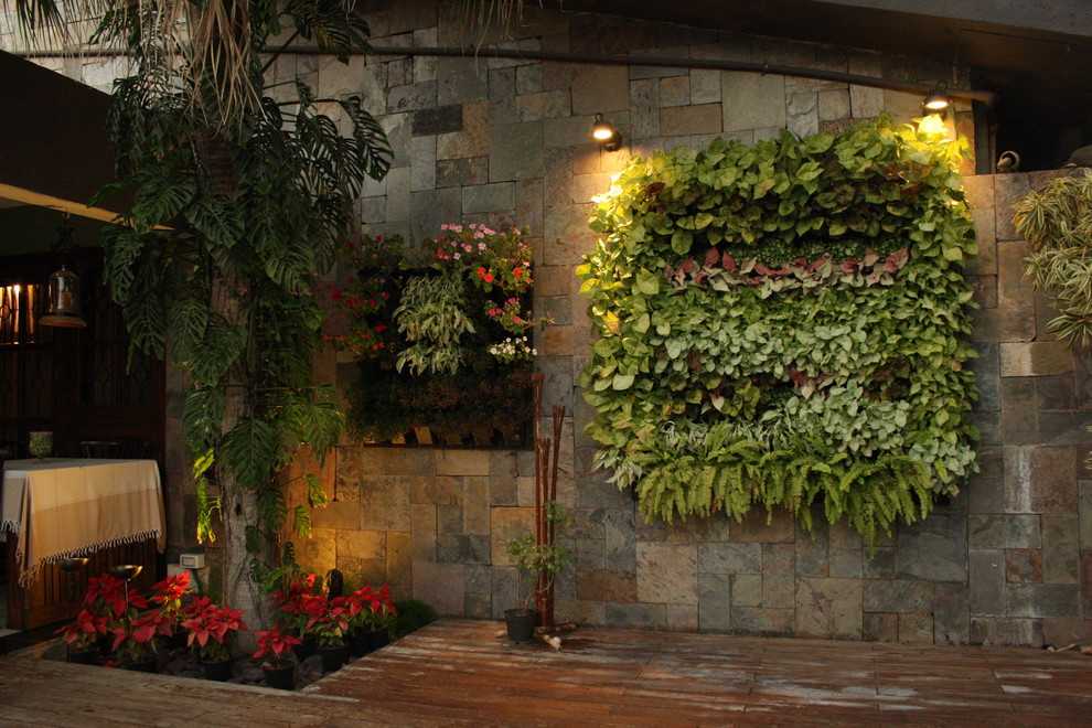 Вьющиеся растения для вертикального озеленения зданий