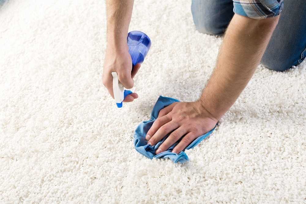 Химчистка ковров: на что обратить внимание