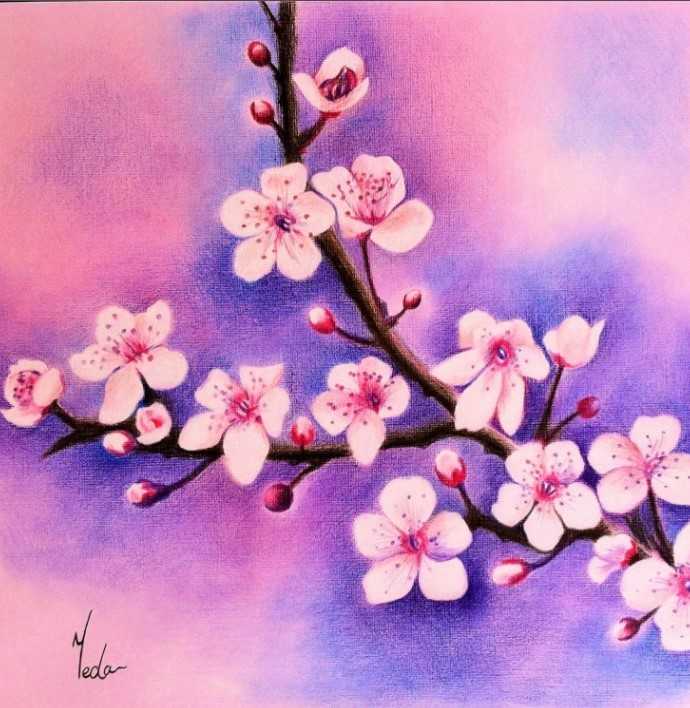 Как рисовать японское дерево сакура. цветущая веточка. нетрадиционное рисование