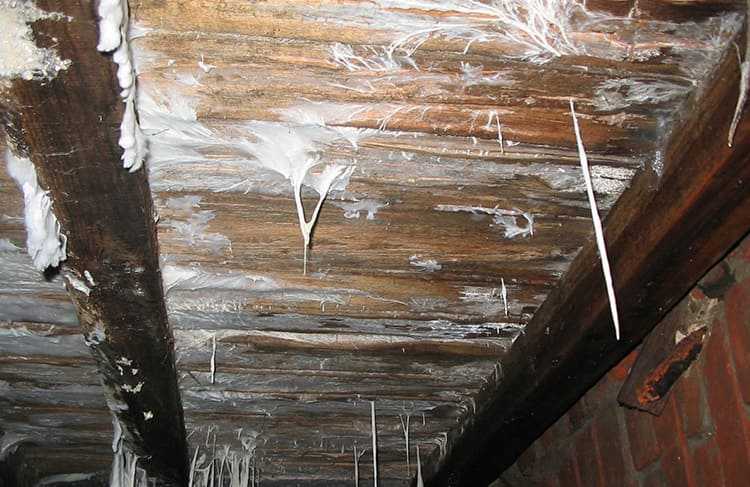 Вентиляция подполья и пола в деревянном доме  обязательное условие для защиты деревянных конструкций от появления плесени, гнили и грибковСредой