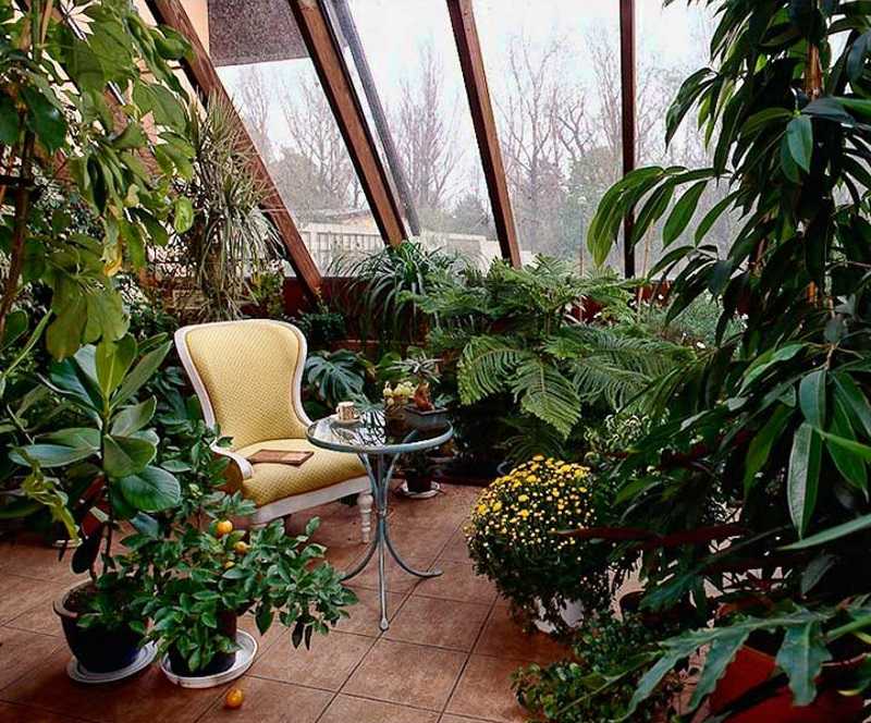 Зимний сад – оазис красоты, вдохновения и умиротворения
