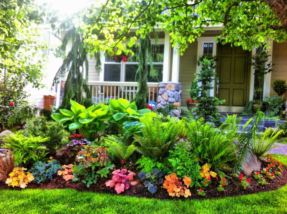 Палисадник возле дома: планировка, дизайн, выбор растений и интересные идеи, фото