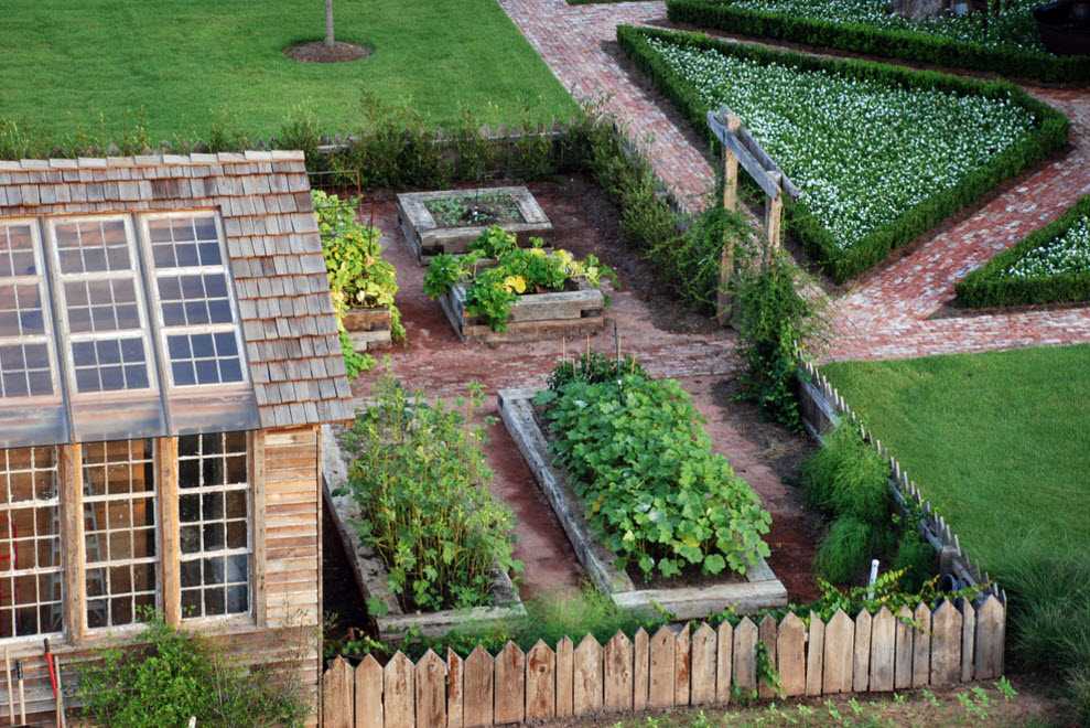 Правильная планировка сада: проекты, выбор места, совместимость растений