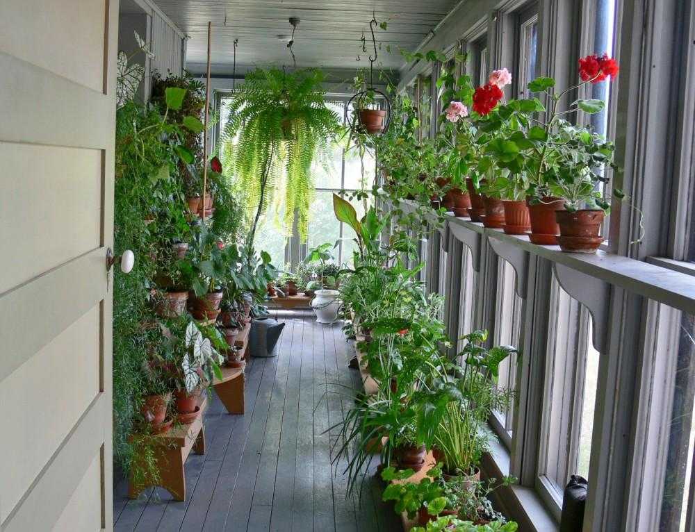 Украсить балкон своими руками устроив в нем сад очень просто, а радовать он будет весь сезон Подбираем растения, кашпо, места расположения с учетом особенностей растений и своих балконов