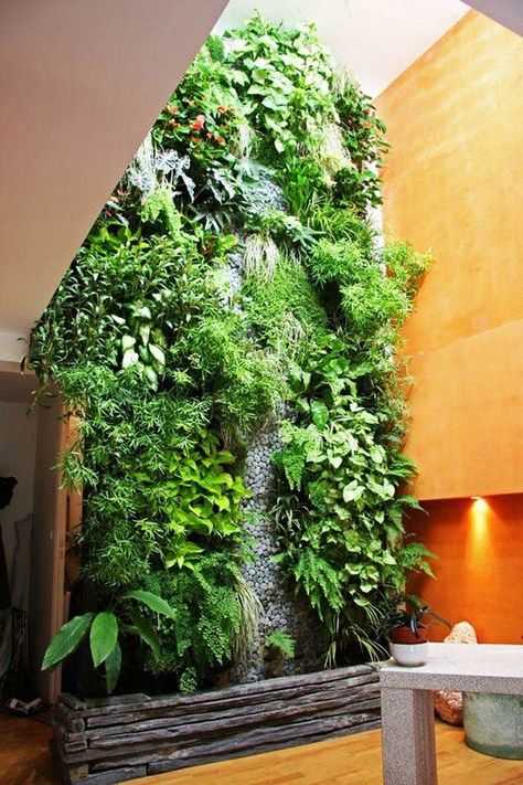 Как использовать вертикальное озеленение в ландшафтном дизайне - сад и клумба