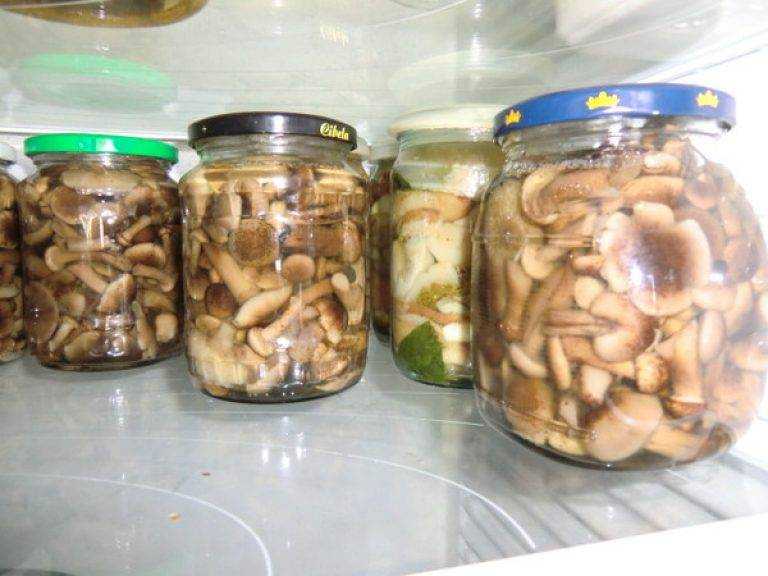 Советы по хранению высушенных грибов в домашних условиях