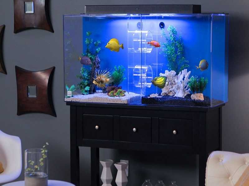 Оформление аквариума: самый красивый дизайн на 50, 100 и 200 литров с корягами и камнями для рыбок
 - 44 фото