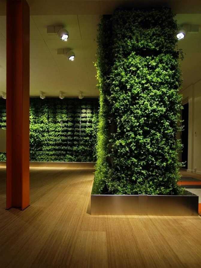 Вертикальное озеленение в ландшафтном дизайне