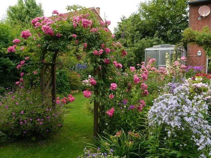 Розы в дизайне сада: подбор растений и сочетание с другими цветами