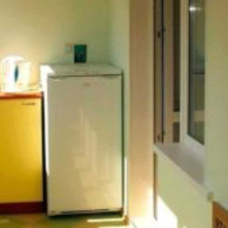 Долго ли может работать холодильник на морозе