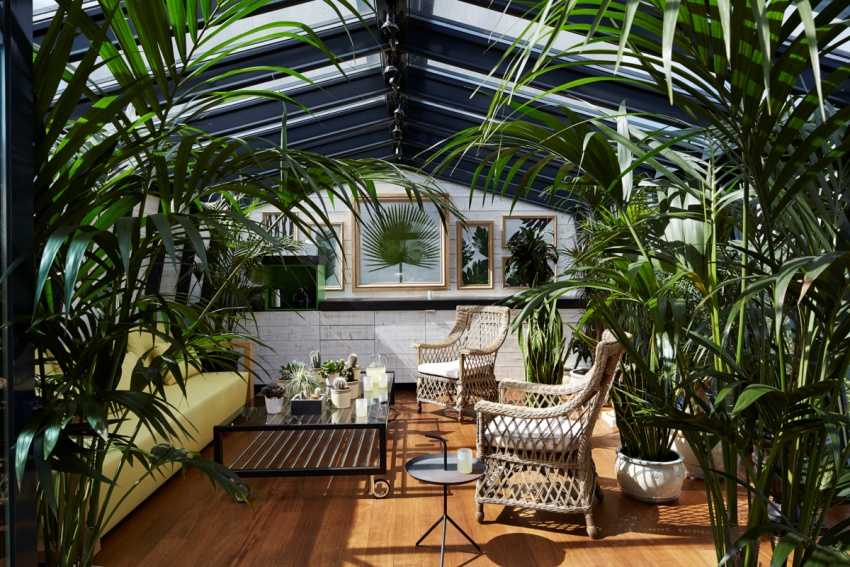 Зимний сад в квартире на балконе своими руками. 10 идей с фото 2021 года