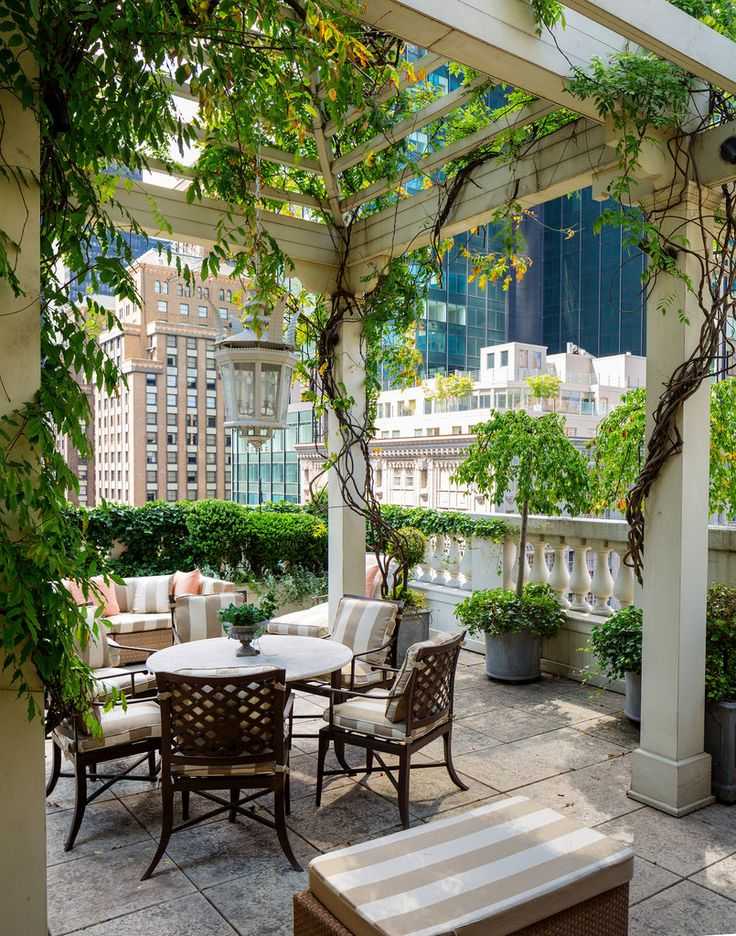 Оранжерея дома — какие цветы можно посадить на балконе?