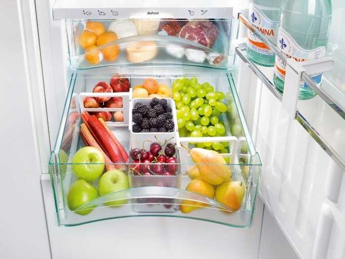 Какая температура должна быть в холодильнике: 6 секретов свежести продуктов