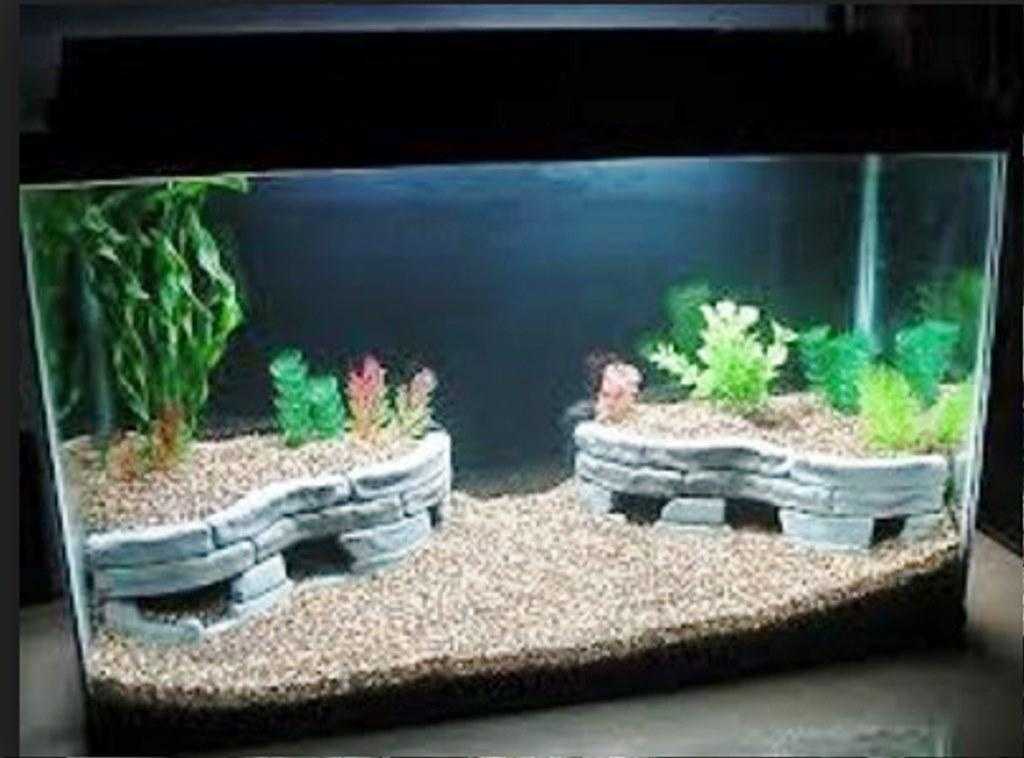 Оформление аквариума: самый красивый дизайн на 50, 100 и 200 литров с корягами и камнями для рыбок - 44 фото