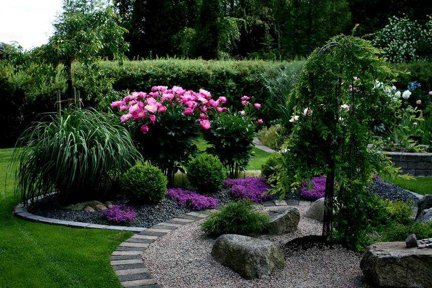 Розы в саду: ландшафтный дизайн дачного участка, фото композиций