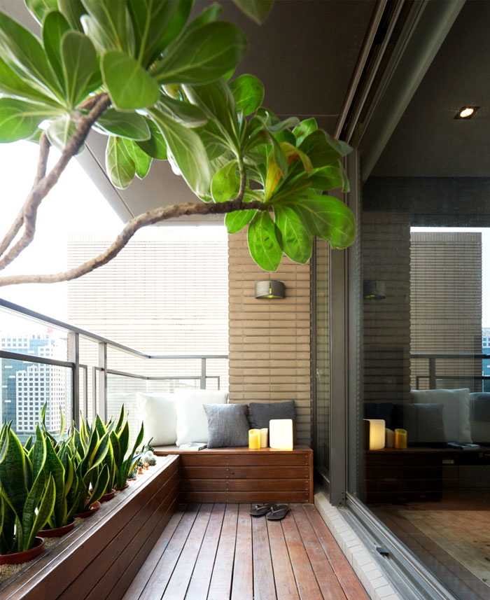 Цветы на балконе: фото дизайна, украшение пространства растениями, правила их подбора