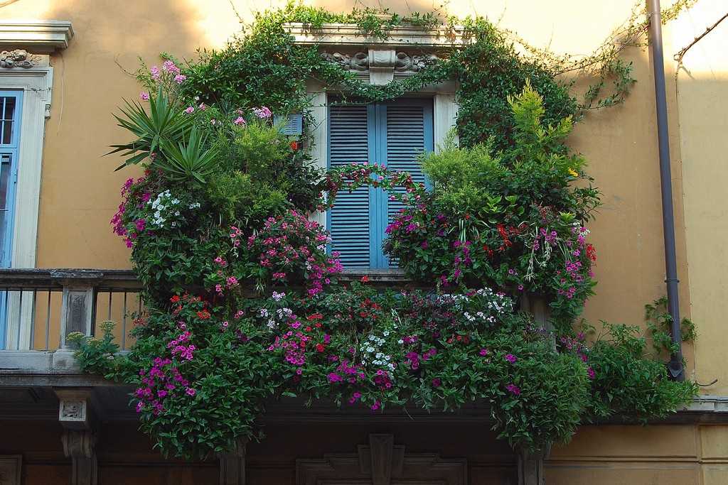 Оформление балкона цветами: нюансы выбора и размещения