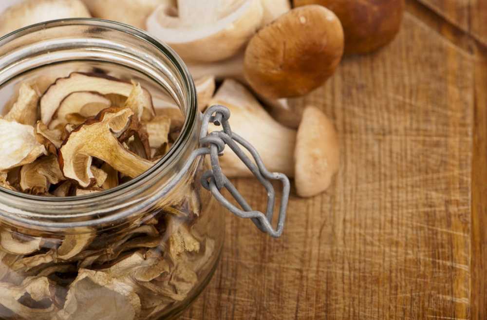 Как хранить сухие грибы в домашних условиях: полезные советы