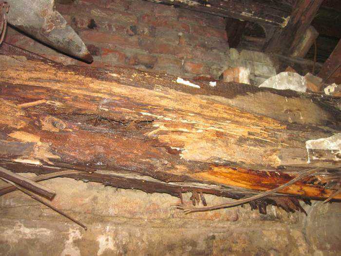 Как предотвратить гниение древесины - защита и обработка