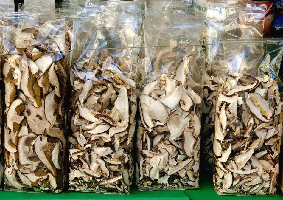 Срок хранения сушеных грибов: как долго можно хранить в домашних условиях