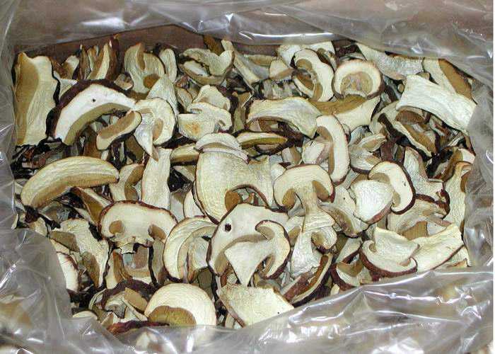 Срок и условия хранения сушеных грибов
