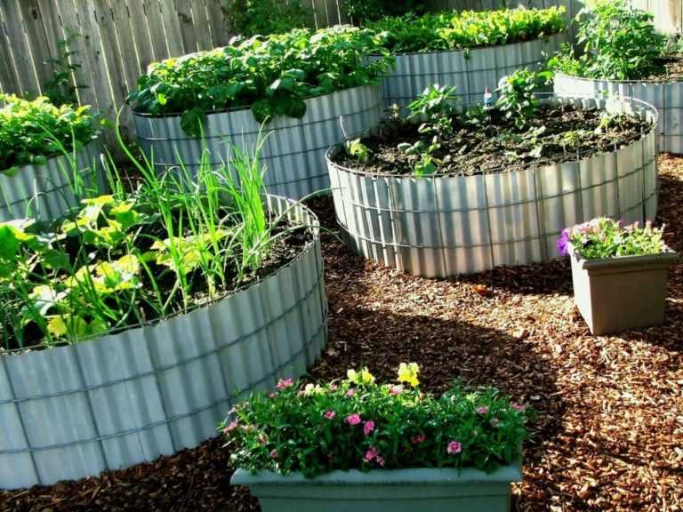 Красивые грядки своими руками: 50 идей, как украсить огород и вырастить хороший урожай - наша дача - медиаплатформа миртесен