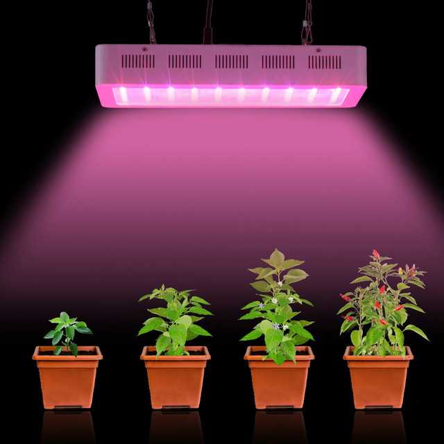 Освние для растений: виды ламп, отличия для разных растений