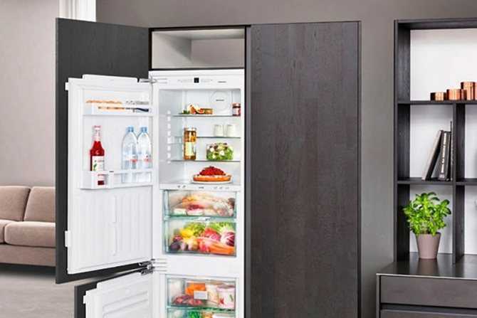 Яркий или цветной холодильник на кухню 2021 — лучшие фото