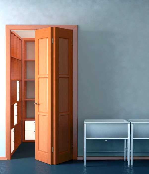 Двери в кладовку в квартире: как оформить маленькую и легкую дверь