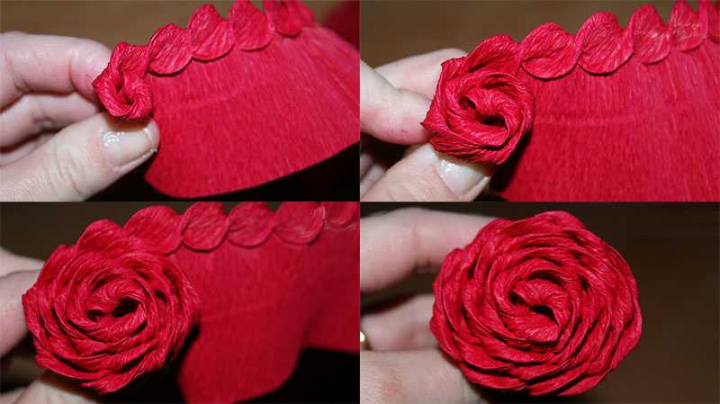Как сделать розы из гофрированной бумаги своими руками: мастер класс пошагово