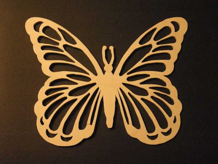 Трафарет бабочки, разновидности, мастер-классы по изготовлению
