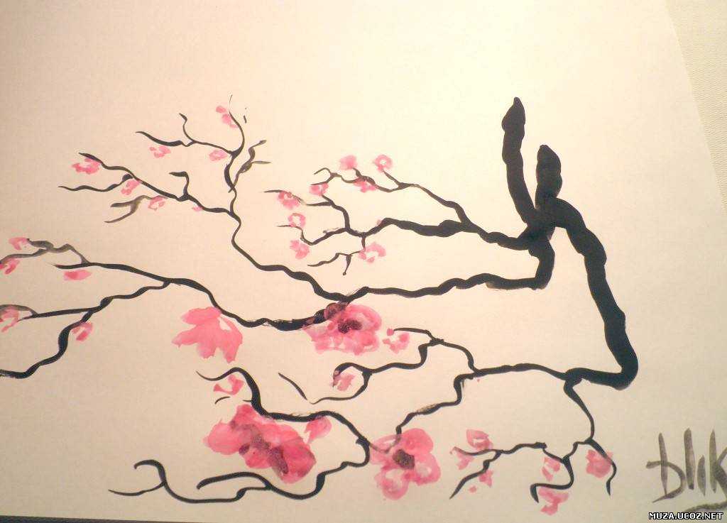 Сакура как нарисовать дерево – как нарисовать сакуру карандашом поэтапно