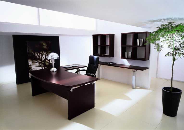 Дизайн кабинета руководителя: примеры интерьера на 75 фото