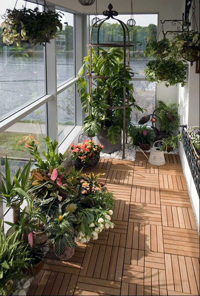 Оранжерея на балконе, выбор цветочных композиций