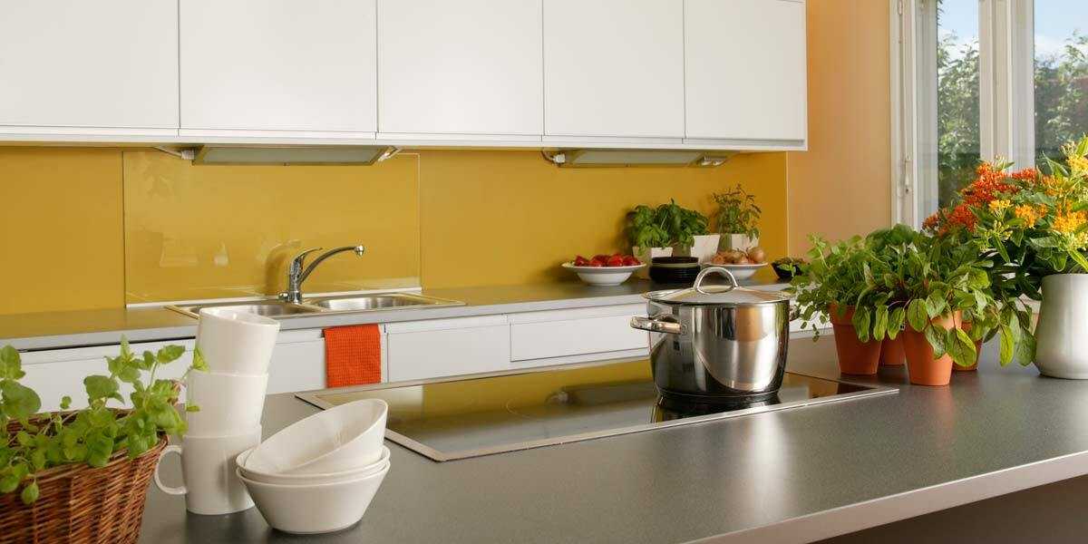 Краска в кухонном интерьере - 95 фото примеров