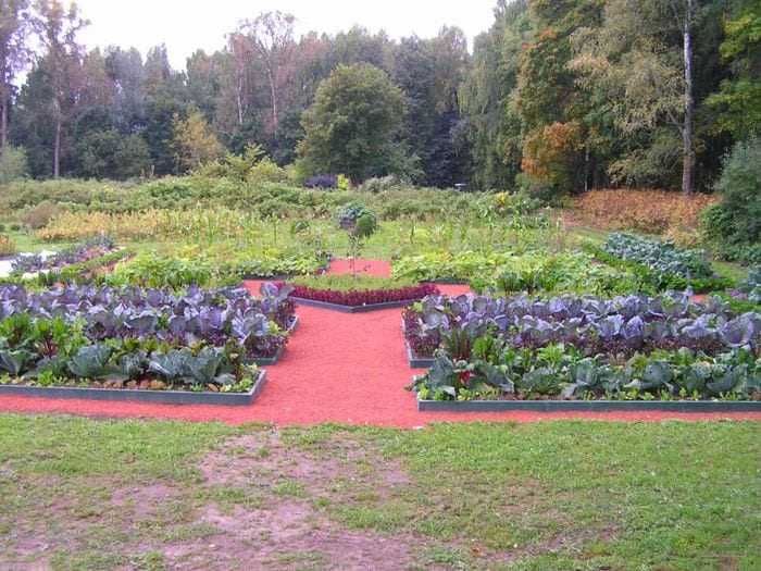 Красивый огород с грядками своими руками: 75 вариантов дизайна