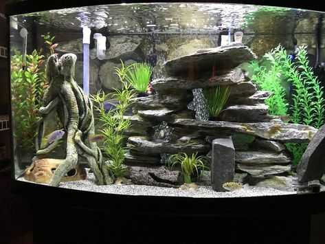 Как правильно оформить аквариум, декорациями | аквариумные рыбки
