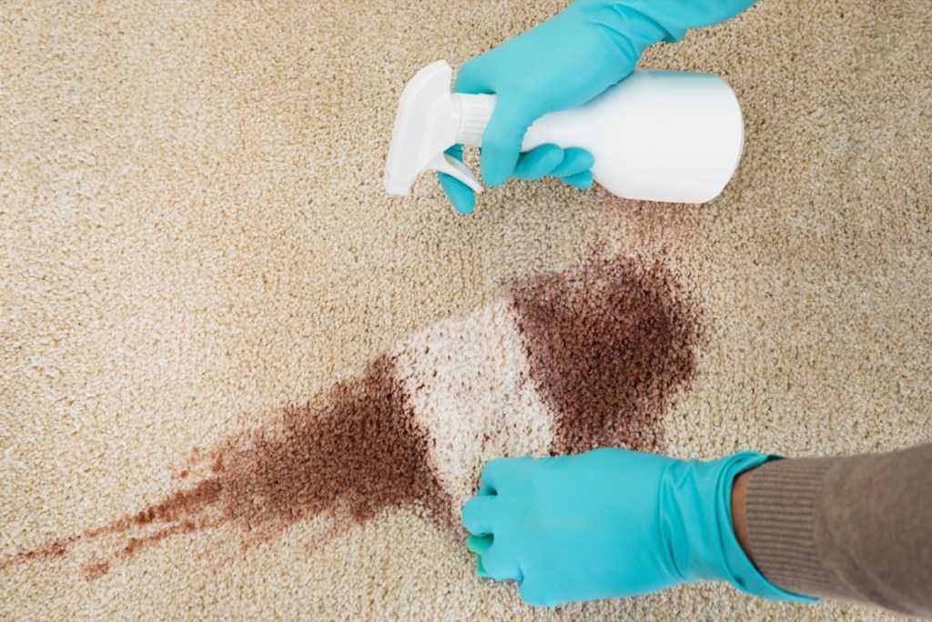 Как почистить ковер с длинным ворсом в домашних условиях: все о чистке белых и цветных длинноворсовых ковровых изделий