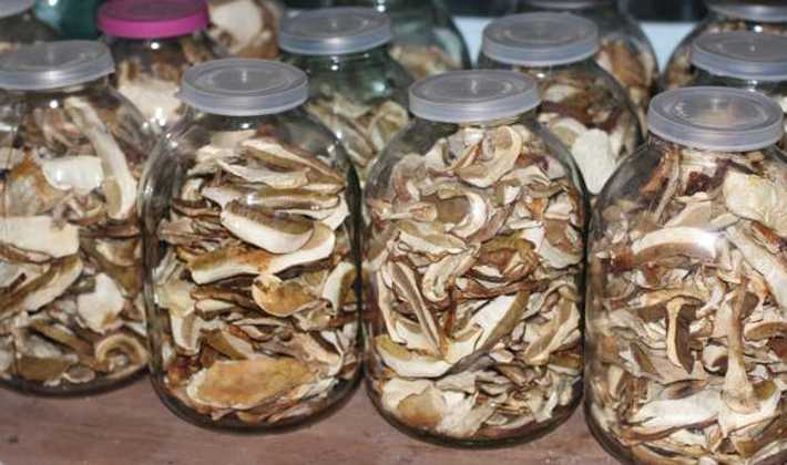 Как и где хранить сушеные грибы: лучшие способы хранения в домашних условиях